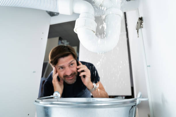 Best Plumbing Services Near Me  in Mount Healthy Heights, OH
